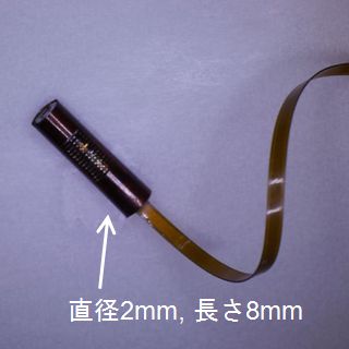 Concept of implantable Glucose monitoring device