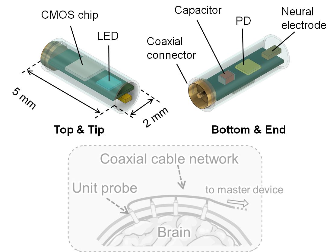 Concept of the flexble-arrange BMIS device