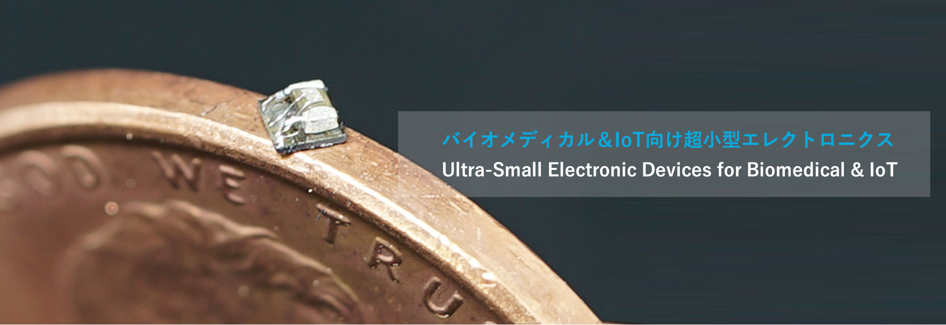 バイオメディカル＆IoT向け超小型エレクトロニクス Ultra-Small Electronic Devices for Biomedical & IoT